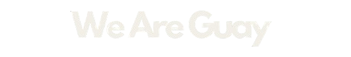LOGO WE ARE GUAY AGENCIA MARKETING CREATIVO DIGITAL MADRID